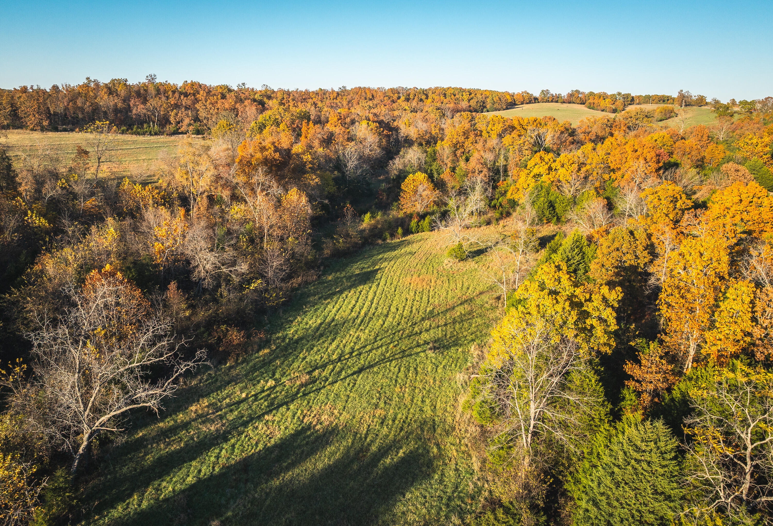 6601 County Line Road Graff, MO 65660 - Photo 56 of 60 DJI_20251105095044_0209_D