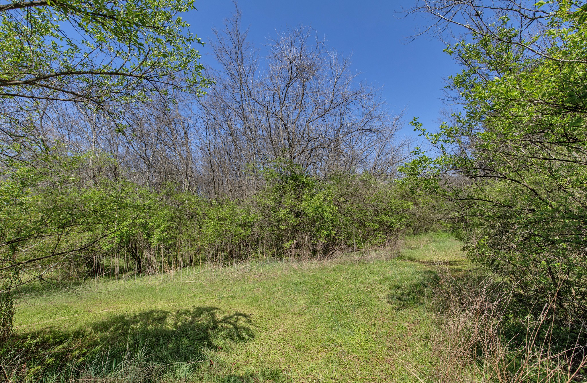 227 Spero Road Goodlettsville, TN 37072 - Photo 29 of 52 Gallery Image 29