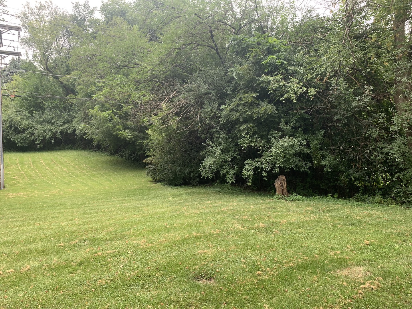 419 West Palatine Road Palatine, IL 60067 - Photo 11 of 14