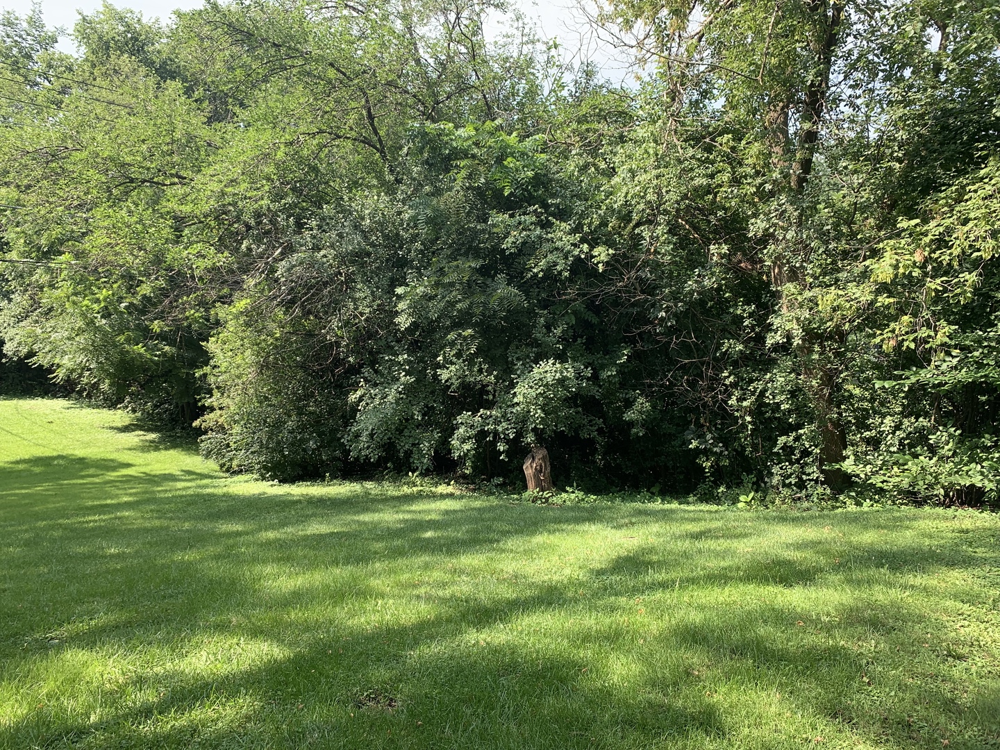 419 West Palatine Road Palatine, IL 60067 - Photo 10 of 14