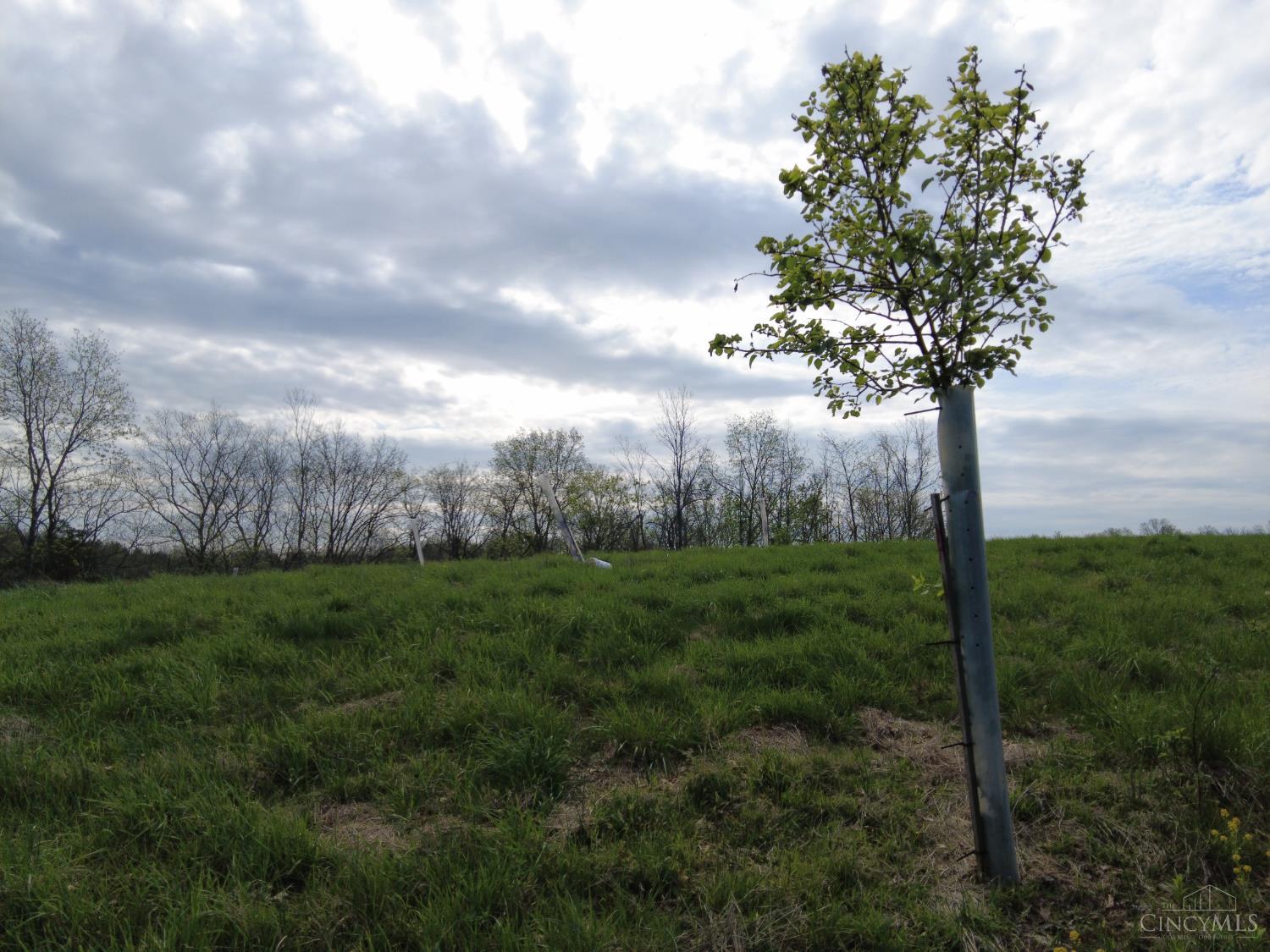 9951 Fishing Gut Road Aberdeen, OH 45101 - Photo 26 of 50