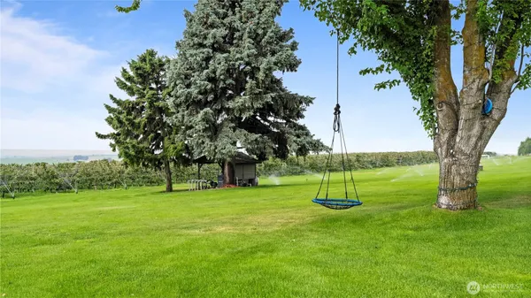 a garden with trees in the background