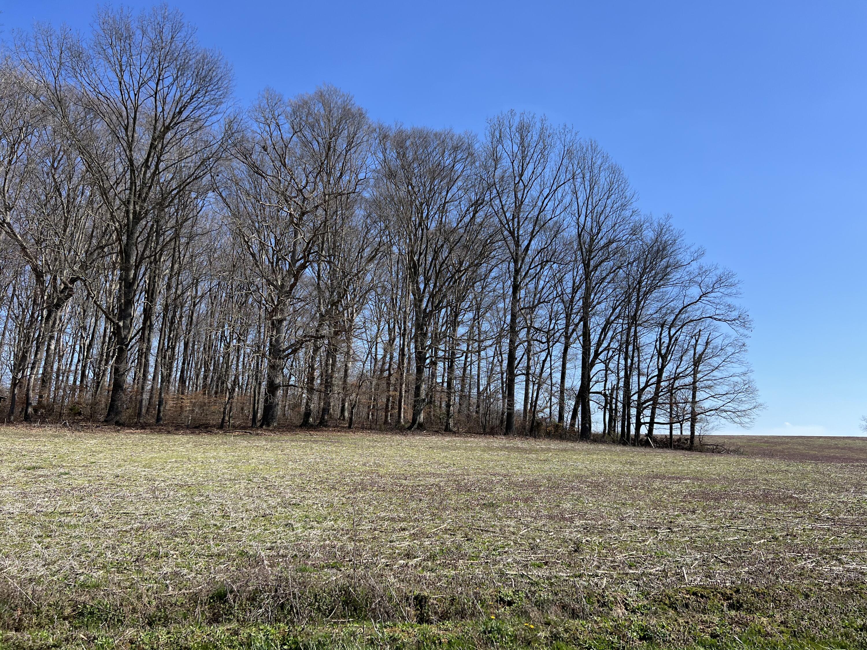 1 Elrod Road Somerset, KY 42503 - Photo 1 of 22 IMG_3208