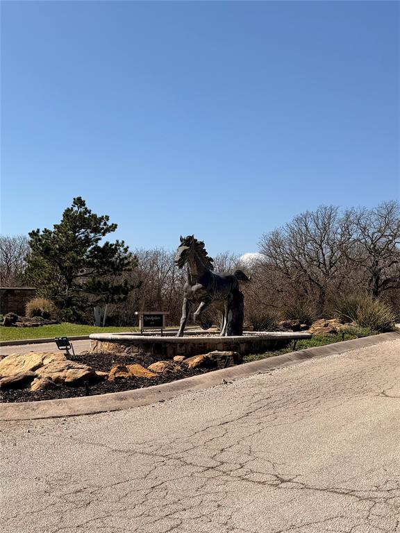 0 Silverleaf Drive Sunset, TX 76270 - Photo 2 of 7