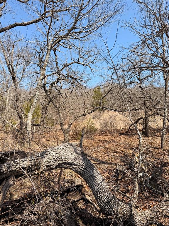 0 Silverleaf Drive Sunset, TX 76270 - Photo 3 of 7