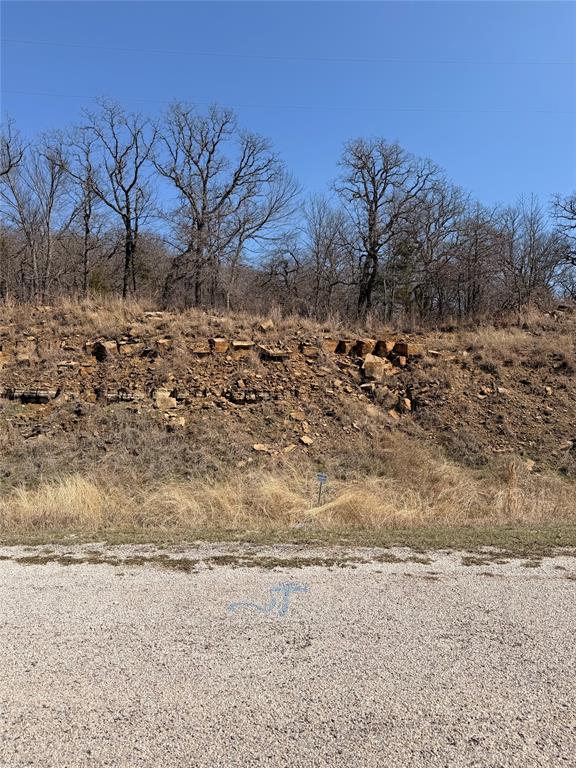 0 Silverleaf Drive Sunset, TX 76270 - Photo 4 of 7