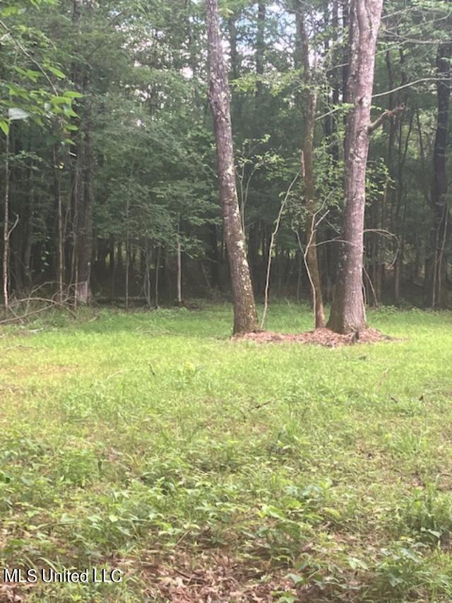 0 Wall Hill Road Byhalia, MS 38611 - Photo 3 of 3 Open Area