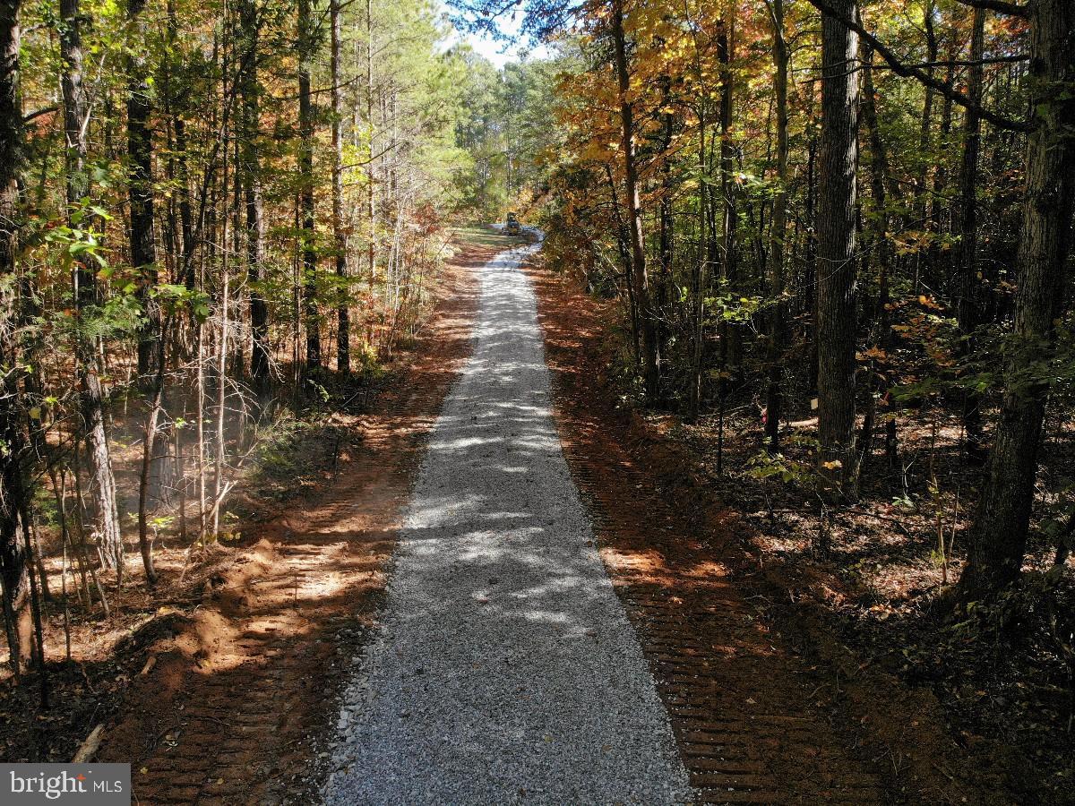 0 Meherrin Road Meherrin, VA 23954 - Photo 16 of 31