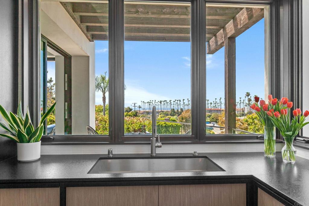 2045 Lowry Place La Jolla, CA 92037 - Photo 4 of 19 a view of a sink a window and a potted plant