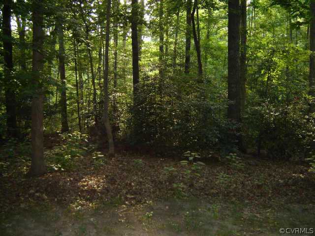 1724 Stone River Road Richmond, VA 23235 - Photo 8 of 8 Other