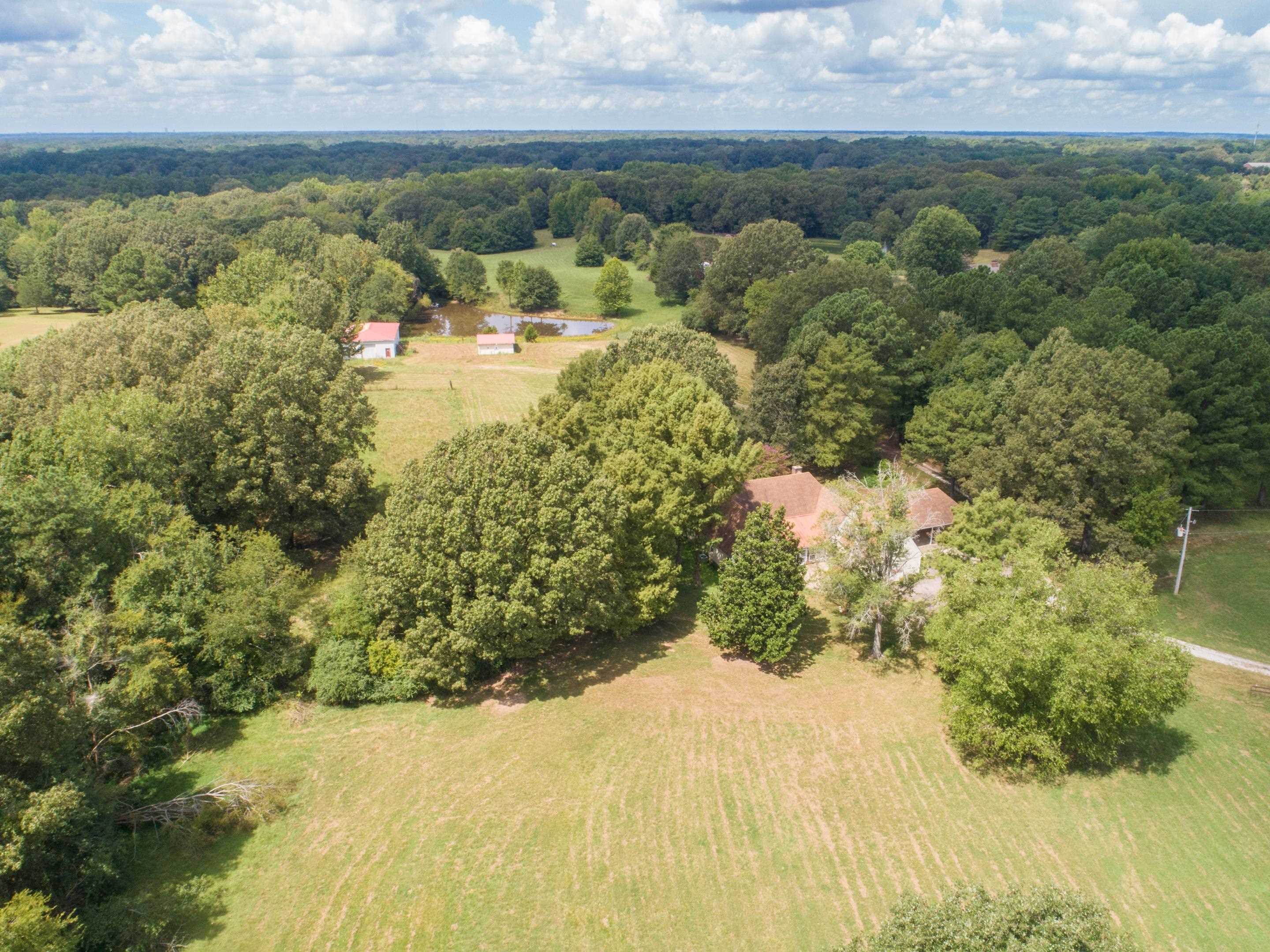 1025 Billy Bryant Road Collierville, TN 38017 - Photo 10 of 39 Gallery Image 10