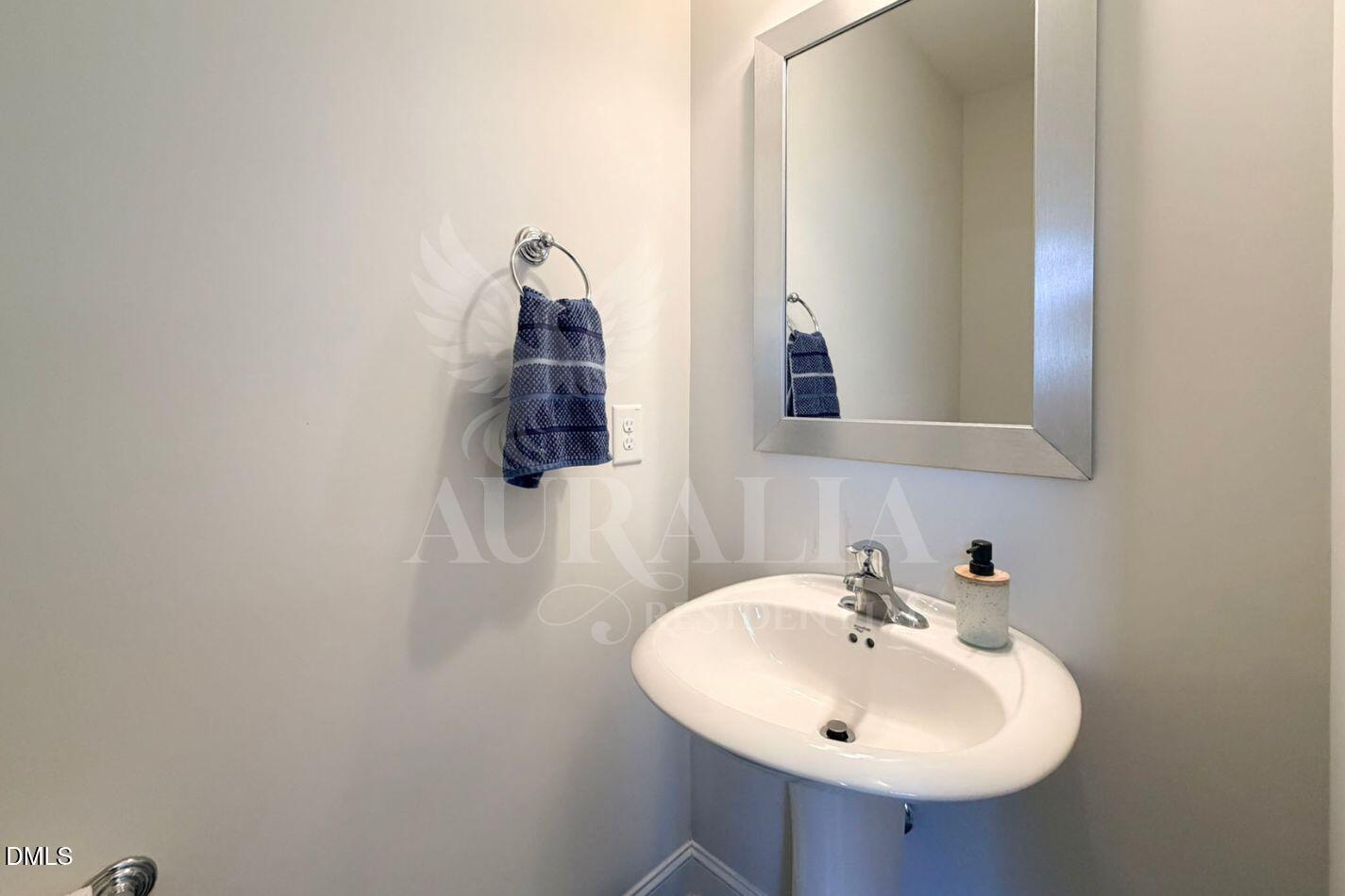 1306 Farm Pond Trail Durham, NC 27703 - Photo 5 of 46 a bathroom with a sink and a mirror
