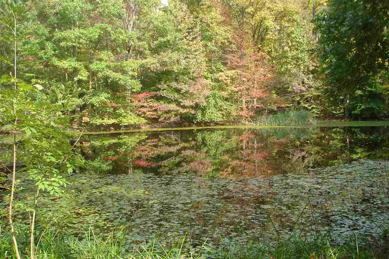 4527 East Michaels Road Bloomfield, IN 47424 - Photo 8 of 10