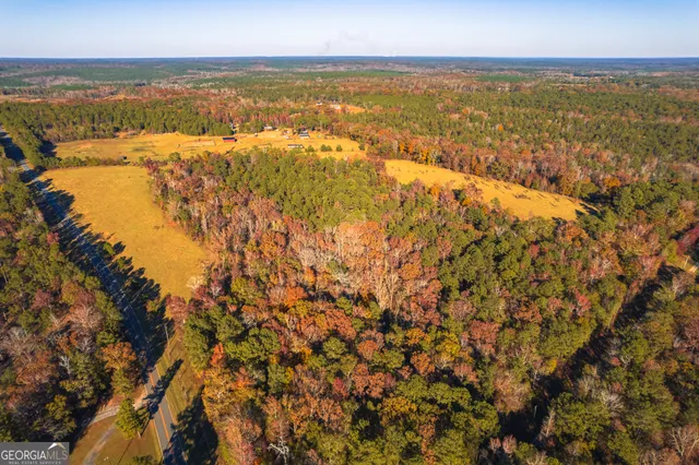 $119,999 | 0 Pine Grove Church Road, Unit LOT 1, Culloden, GA 31016