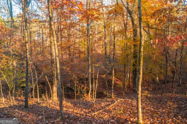 $119,999 | 0 Pine Grove Church Road, Unit LOT 1, Culloden, GA 31016