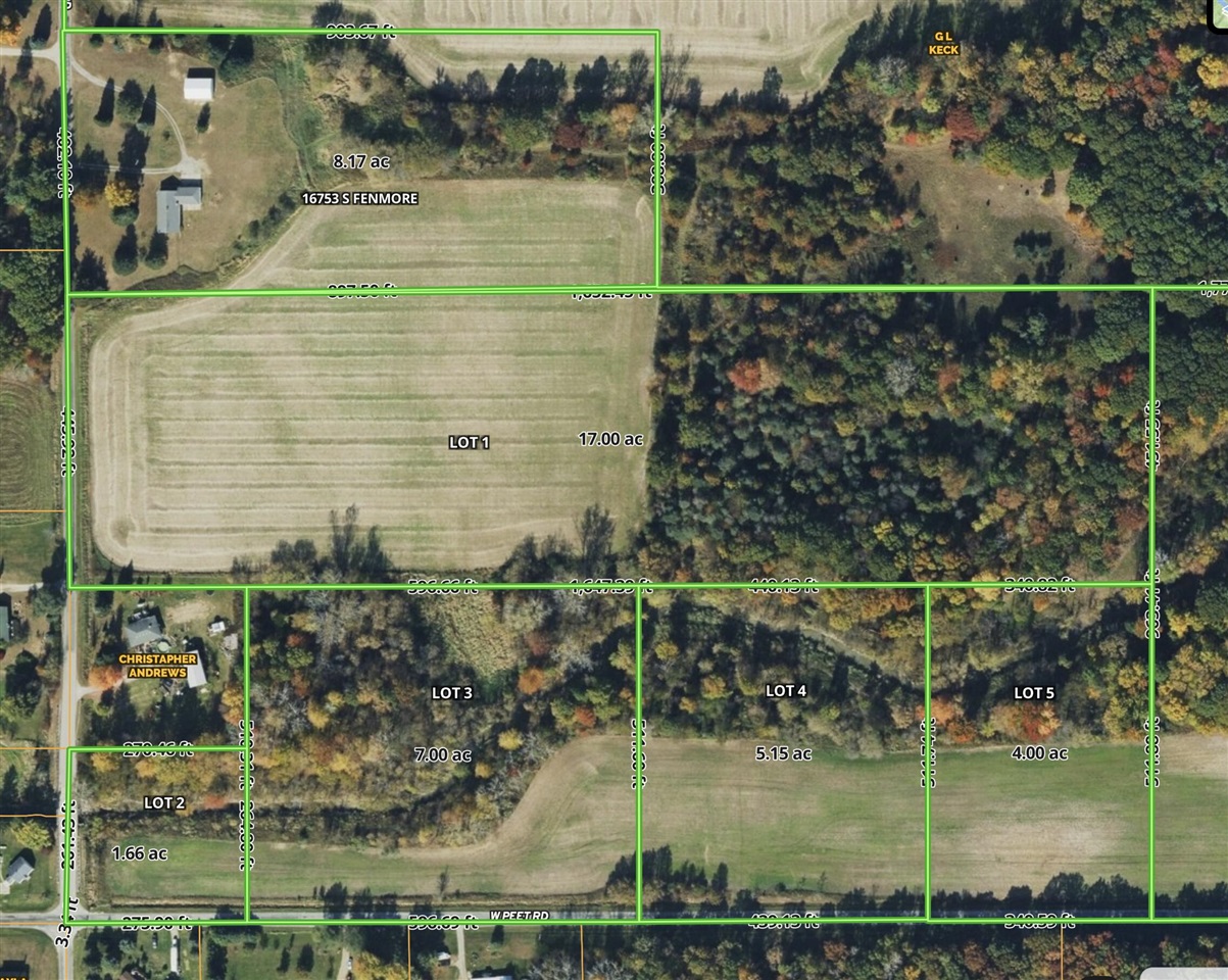 V/l Lot 1 South V/l Road Merrill, MI 48637 - Photo 18 of 18