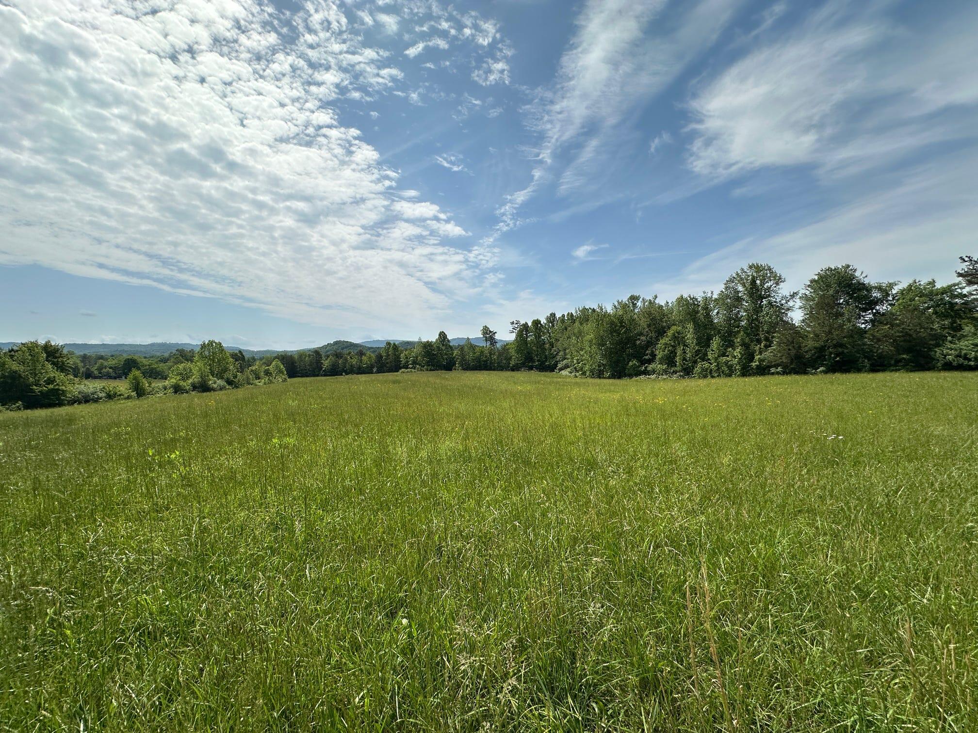 1802 River Road Williamsburg, KY 40769 - Photo 5 of 59 Field