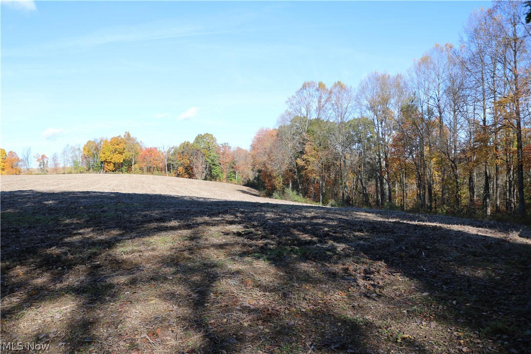 75336 Science Hill Road Newcomerstown, OH 43832 - Photo 4 of 35 Gallery Image 4