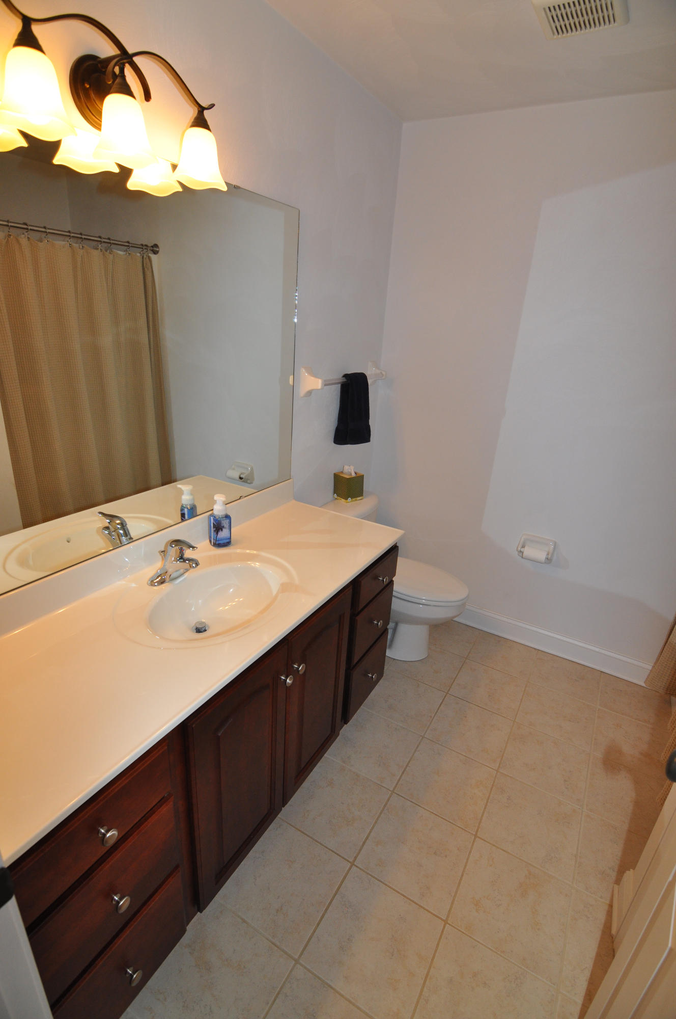 810 Thornblade Way Blue Ridge, VA 24064 - Photo 22 of 45 Hall Bath (2)
