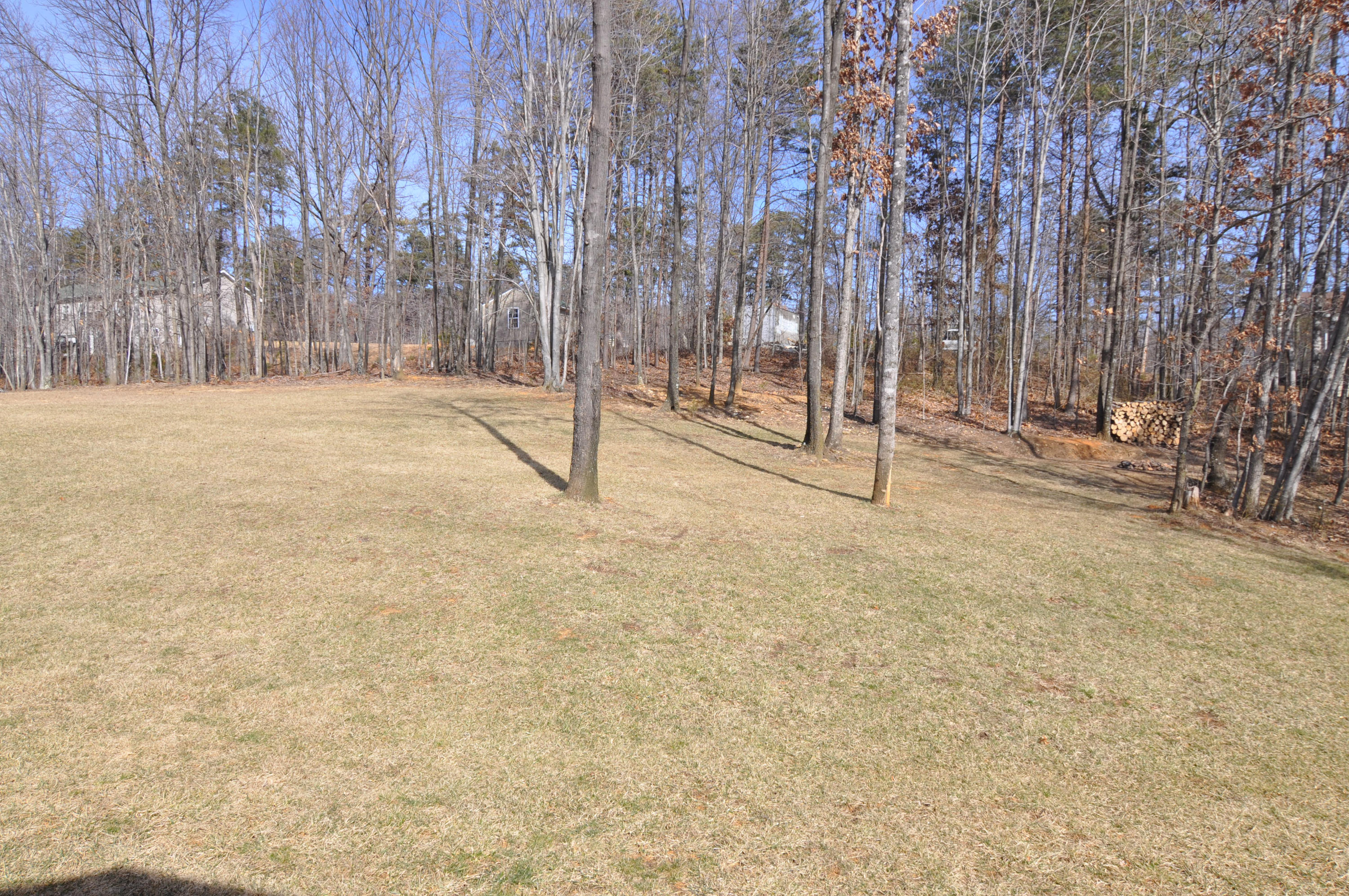 810 Thornblade Way Blue Ridge, VA 24064 - Photo 44 of 45 Back yard (2)