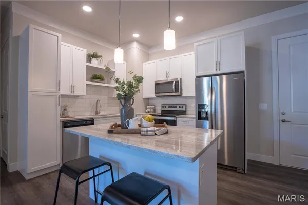 $3,160 | 226 East Lockwood Avenue, Unit 315, St. Louis, MO 63119