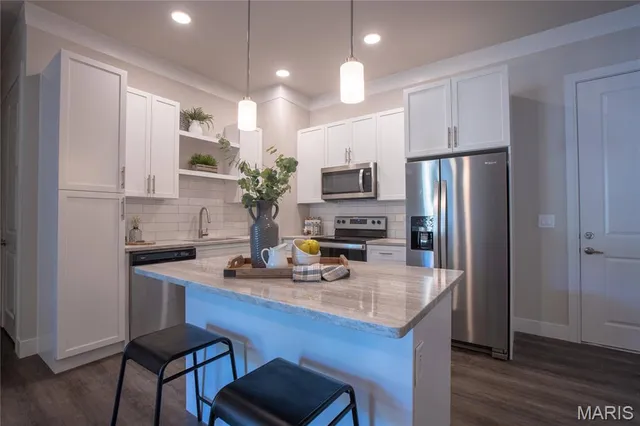 $3,160 | 226 East Lockwood Avenue, Unit 315, St. Louis, MO 63119