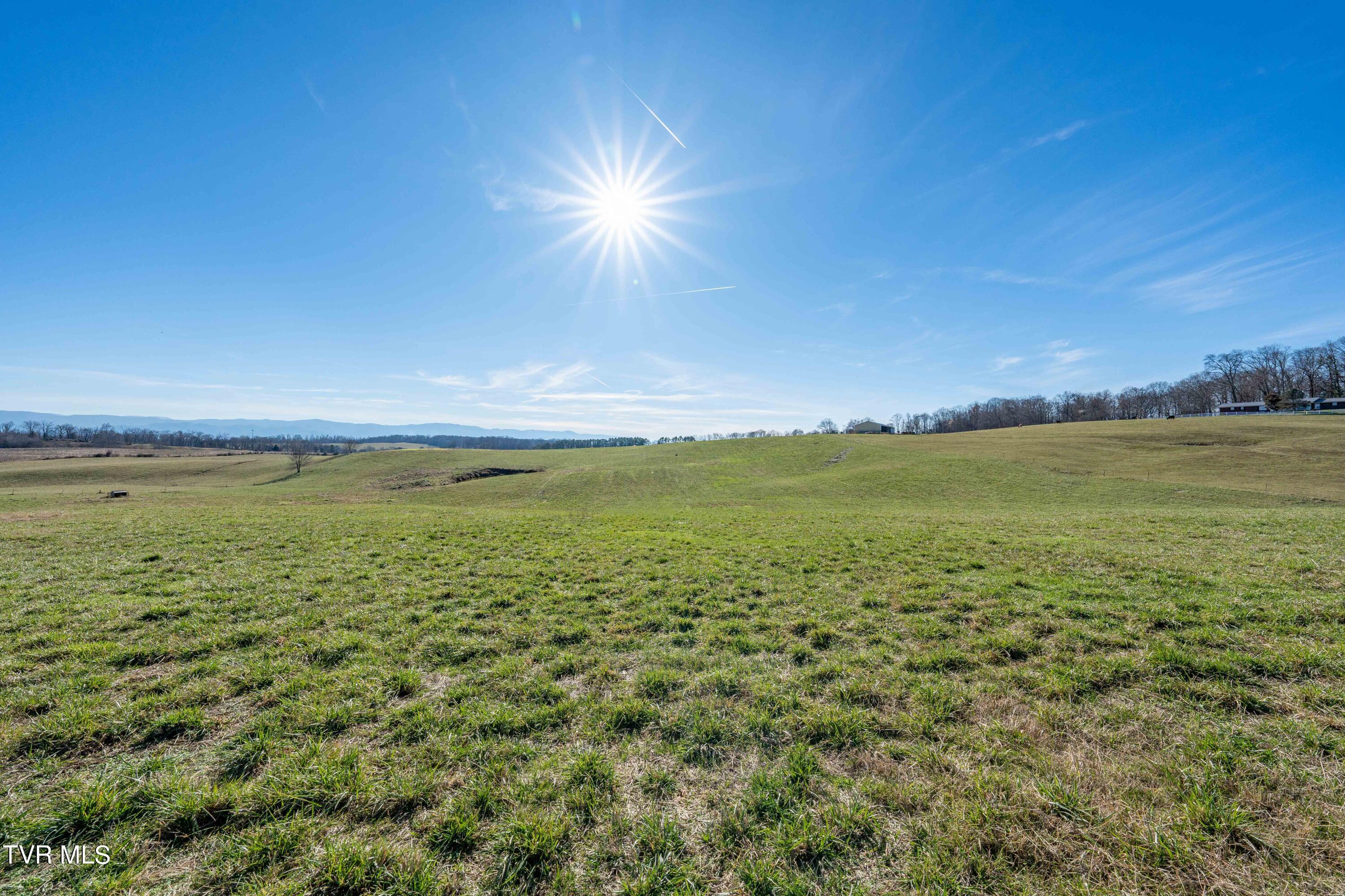 20 Saylor Hill Road Limestone, TN 37681 - Photo 33 of 40 TBD Saylor Hill Rd (35 of 42)