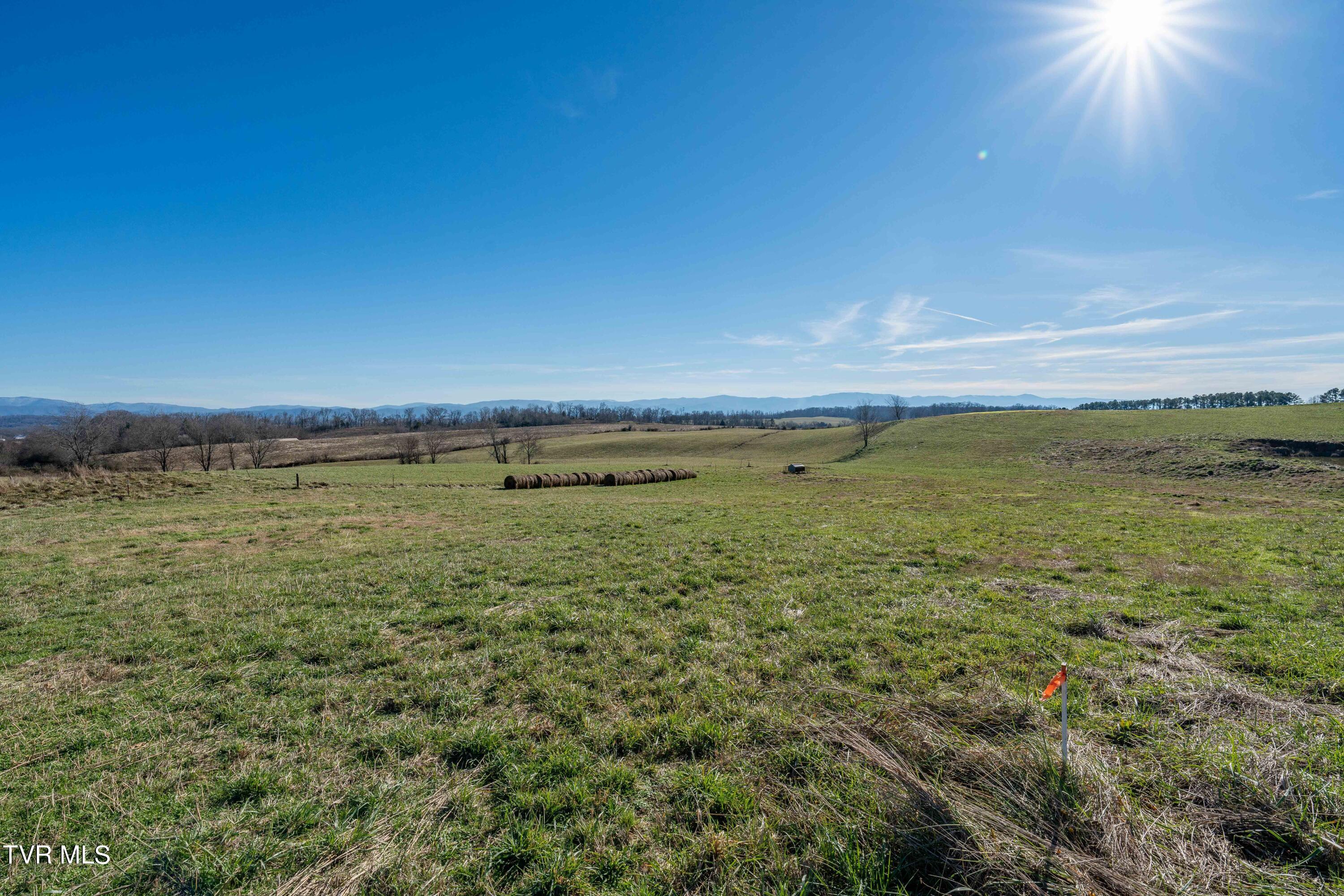 20 Saylor Hill Road Limestone, TN 37681 - Photo 36 of 40 TBD Saylor Hill Rd (38 of 42)