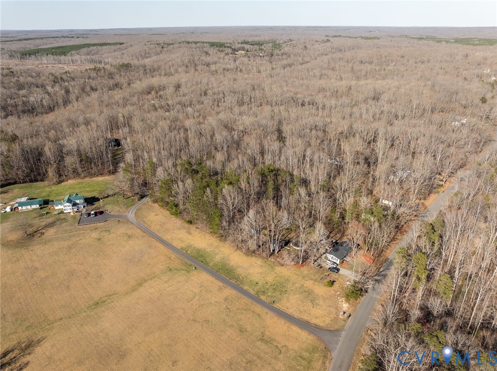 a view of a dry yard with trees in the background