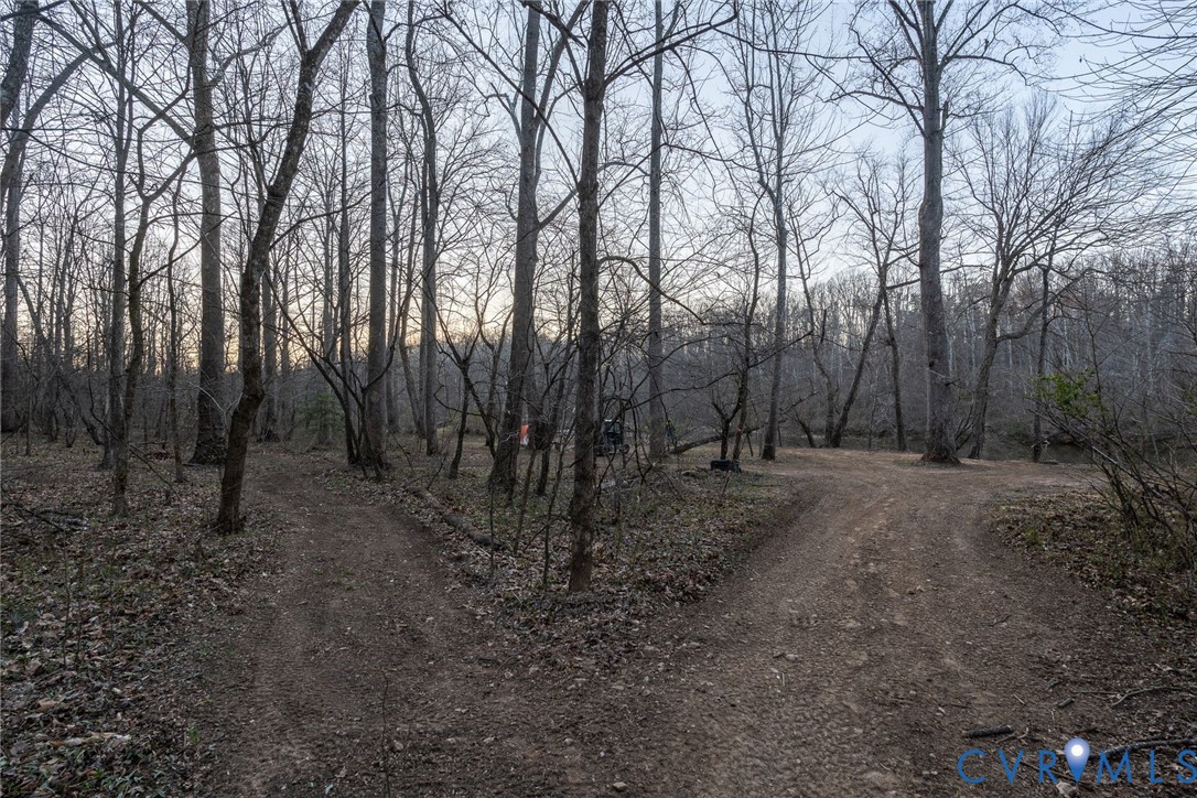 4 Dillard Road Fredericksburg, VA 22407 - Photo 23 of 31 a view of a forest with trees in the background