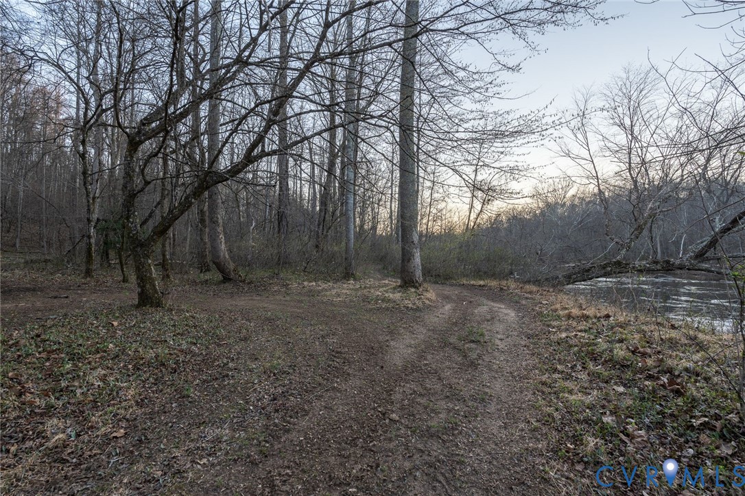4 Dillard Road Fredericksburg, VA 22407 - Photo 24 of 31 a view of a backyard with large trees
