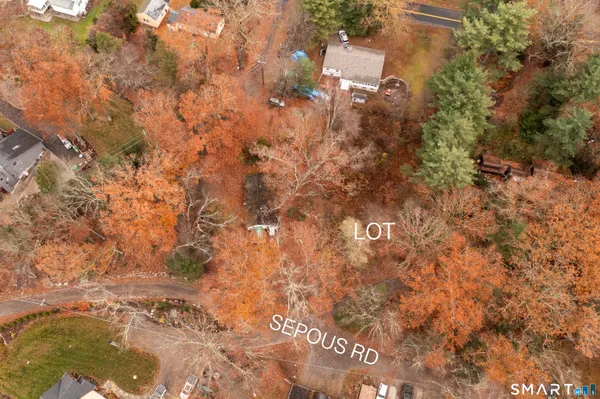 a view of a dry yard