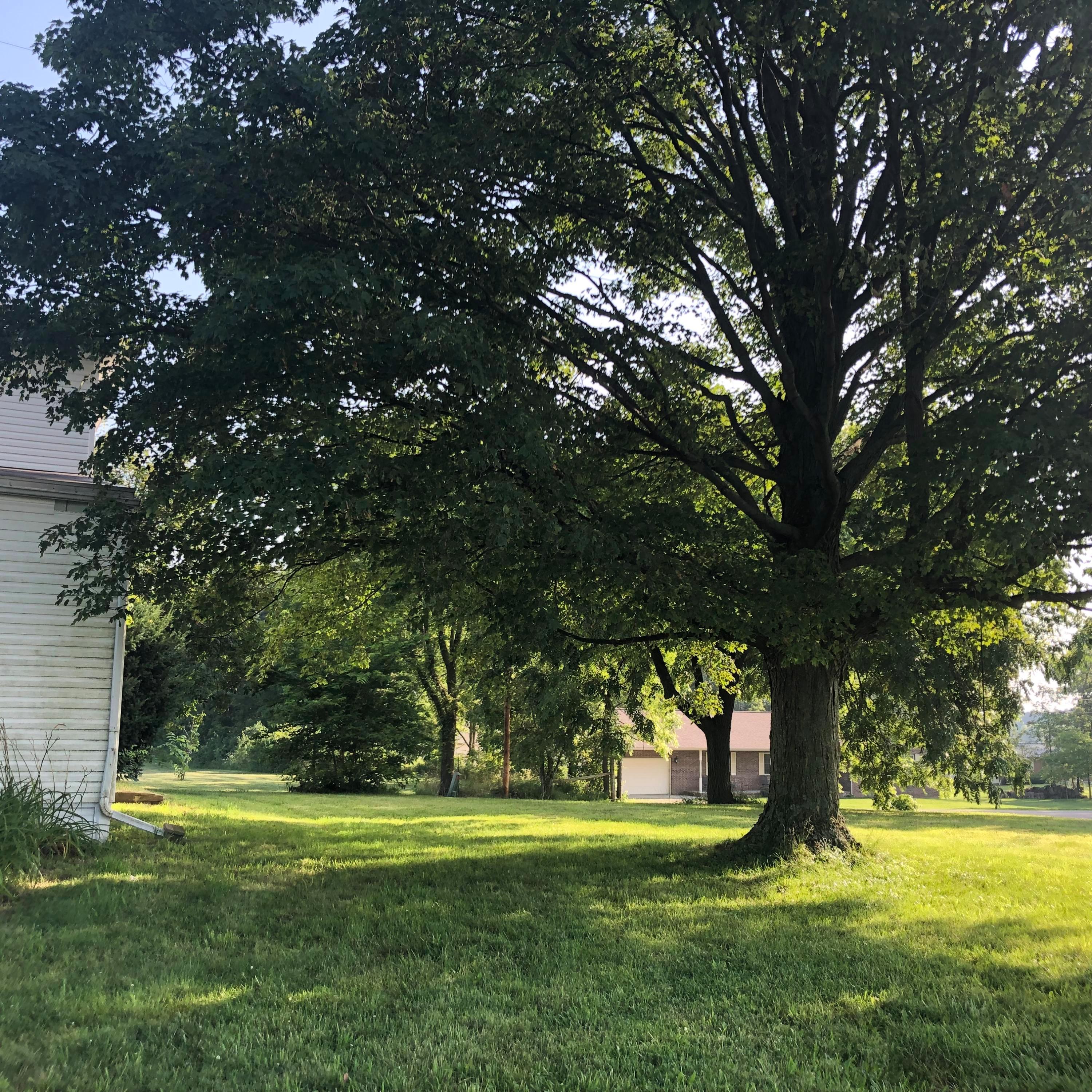 10875 Peters Road Southwest Amanda, OH 43102 - Photo 10 of 31
