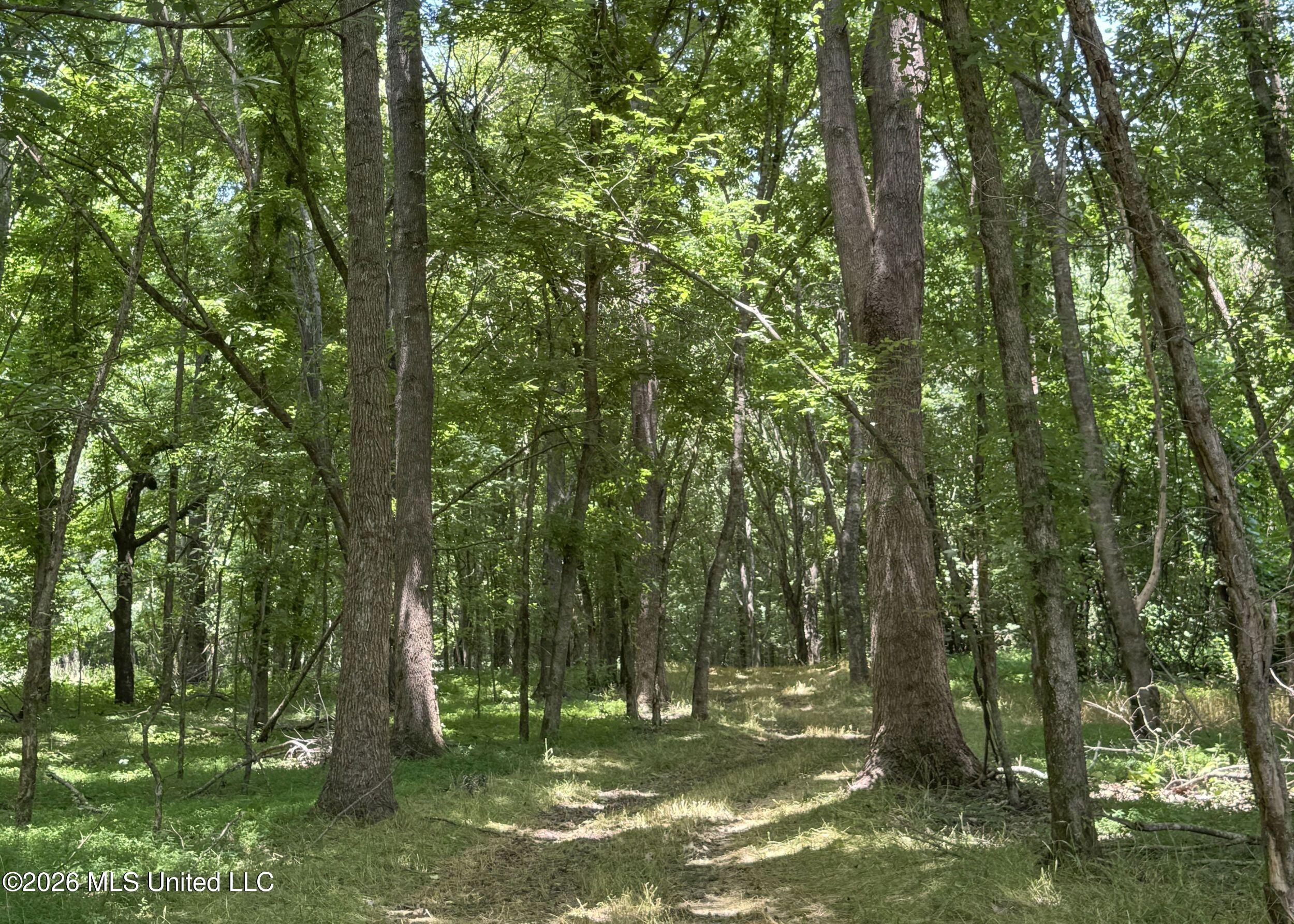 884 Avant Road Crenshaw, MS 38621 - Photo 126 of 154 6dbyicr72
