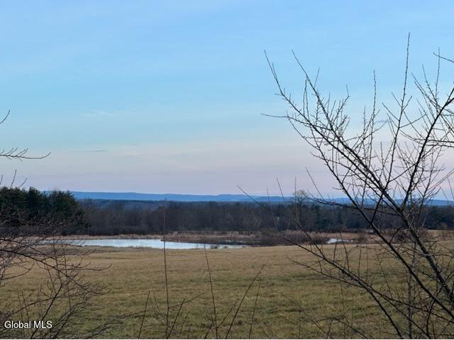 109 Durham Road Stillwater, NY 12170 - Photo 9 of 11 views from standing on the property.