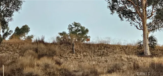 a view of a dry yard with lots of bushes