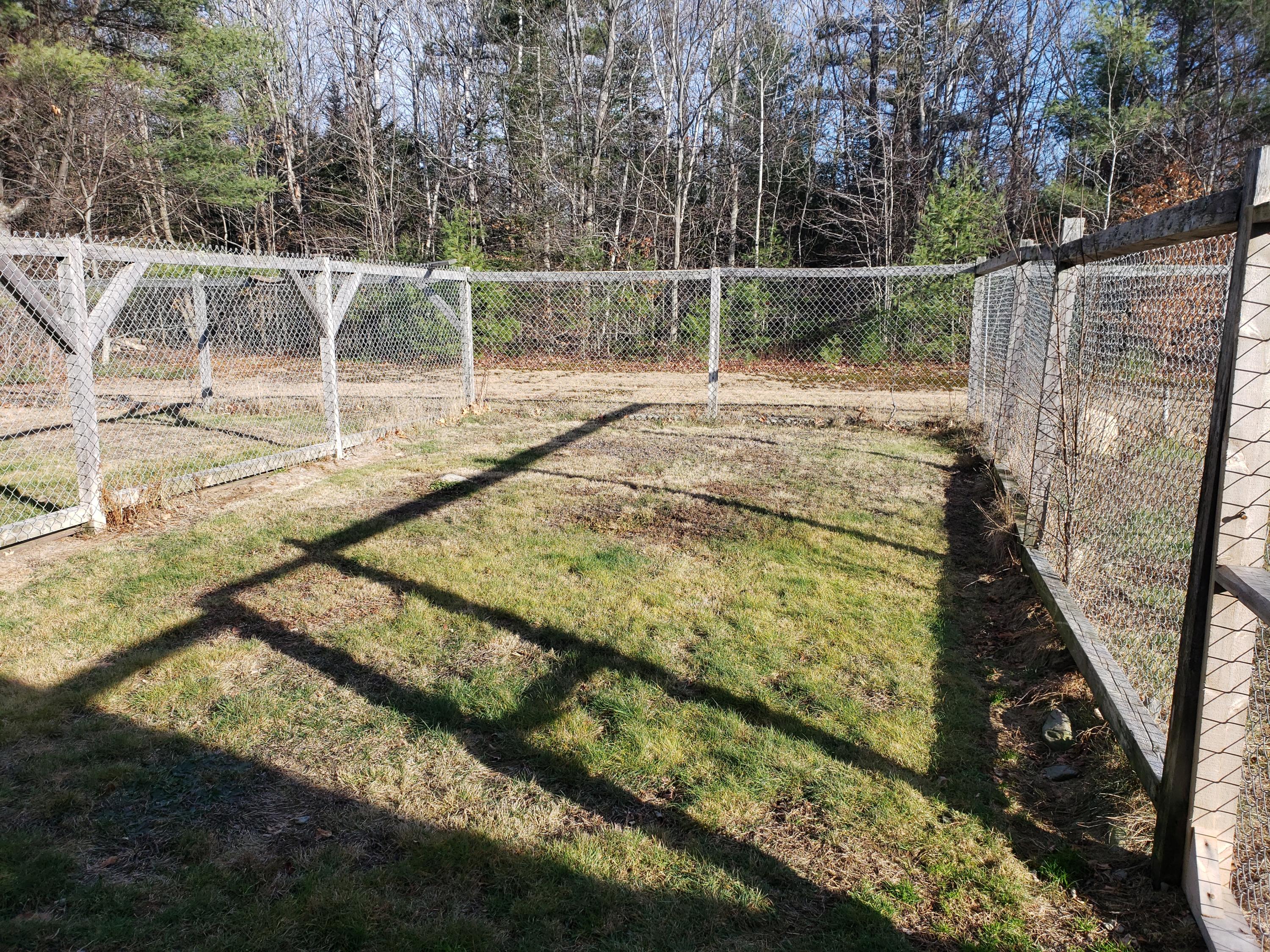 256 Bailey Road Industry, ME 04938 - Photo 76 of 99 20201203_130851