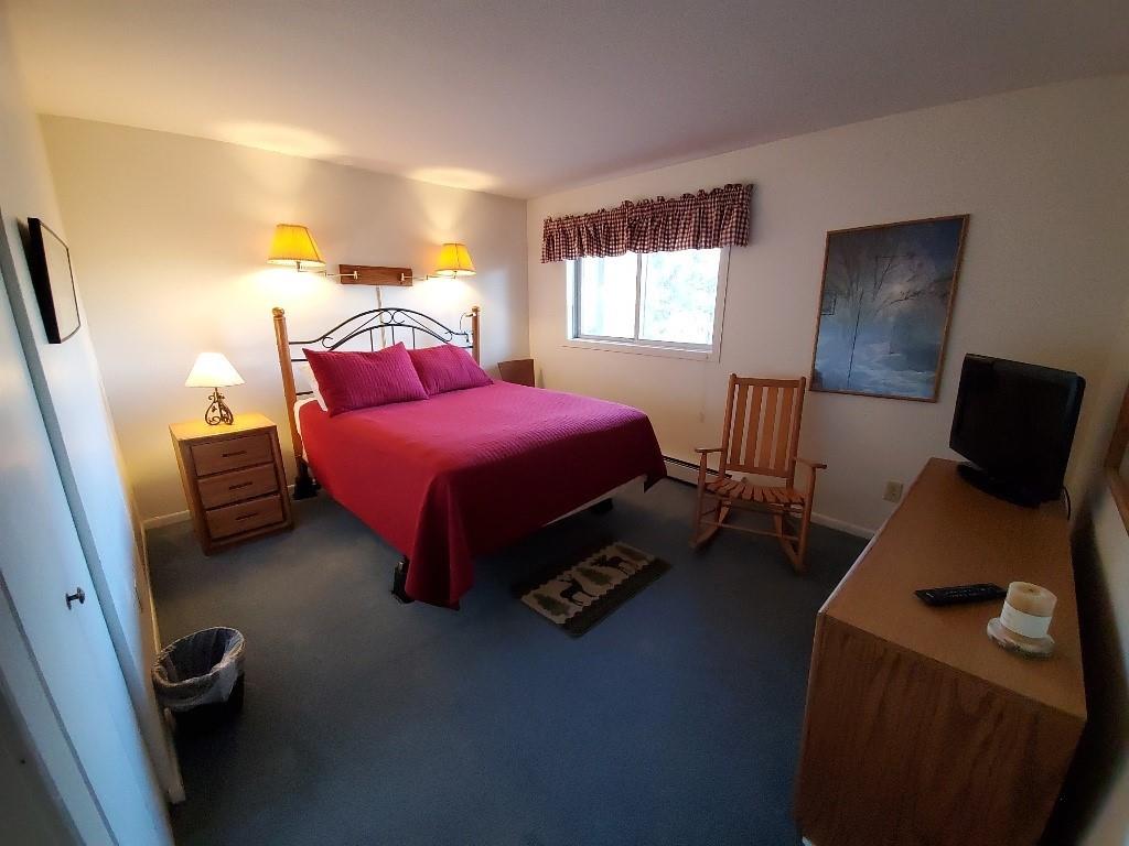 10000 Ryan Gulch Road, Unit 105 Wildernest, CO 80498 - Photo 10 of 24 a bedroom with furniture and a window