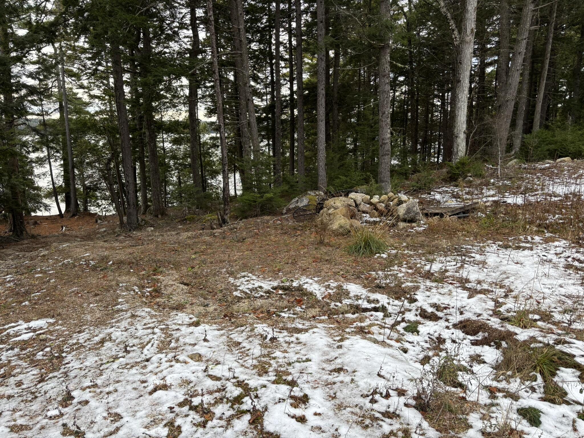 189 Horseshoe Cove Road Princeton, ME 04668 - Photo 13 of 28 IMG_6907