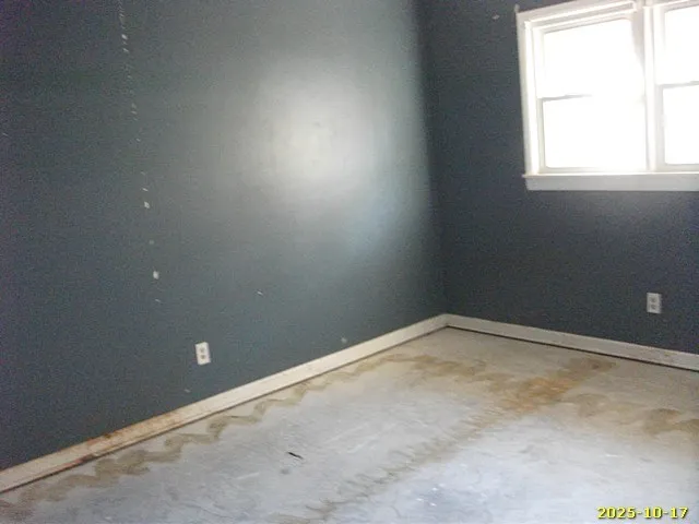 a view of a yard with large trees