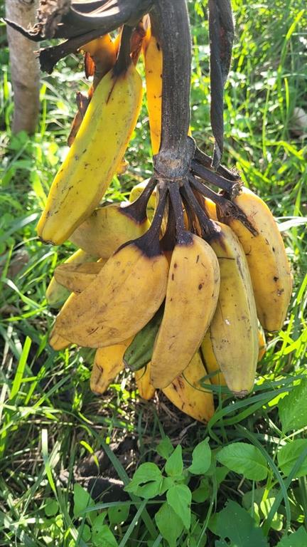 3235 Aurora Road Melbourne, FL 32934 - Photo 2 of 6