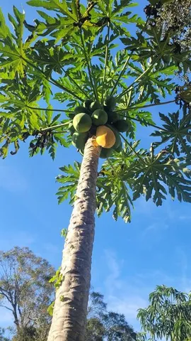 $260,000 | 3235 Aurora Road, Melbourne, FL 32934