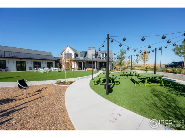 a view of a park with plants
