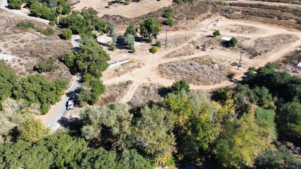 29851 Lilac Road Valley Center, CA 92082 - Photo 12 of 48 a view of a forest with a tree