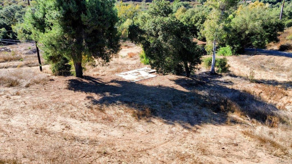 29851 Lilac Road Valley Center, CA 92082 - Photo 22 of 48 a view of yard with trees