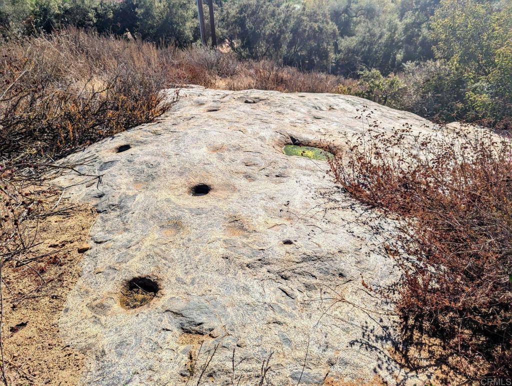 29851 Lilac Road Valley Center, CA 92082 - Photo 31 of 48 a view of a yard covered with snow