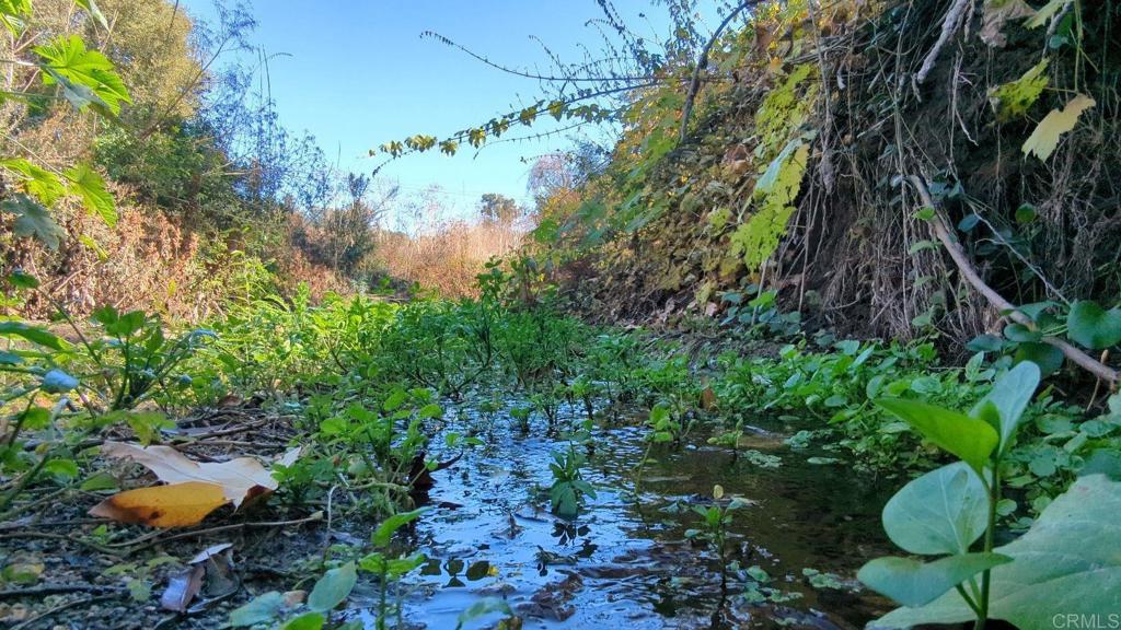 29851 Lilac Road Valley Center, CA 92082 - Photo 32 of 48