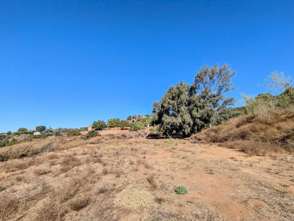 29851 Lilac Road Valley Center, CA 92082 - Photo 39 of 48 a view of a dry yard with a tree