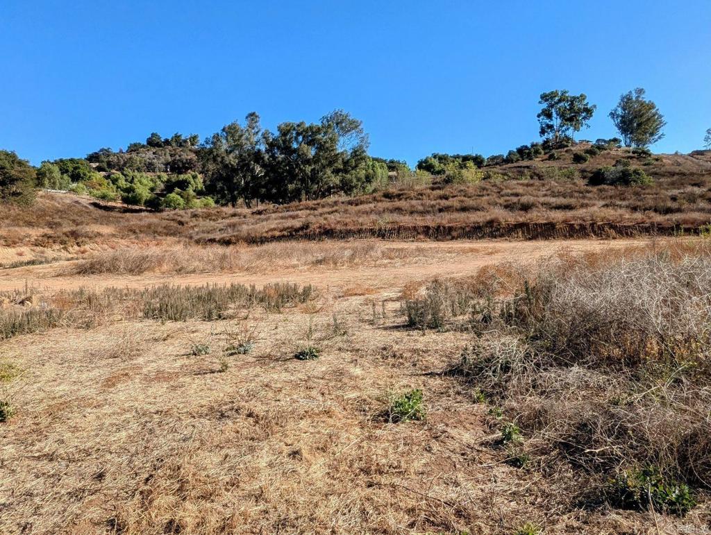 29851 Lilac Road Valley Center, CA 92082 - Photo 43 of 48 a view of a dry field with a houses