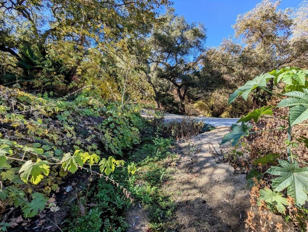 29851 Lilac Road Valley Center, CA 92082 - Photo 48 of 48 a view of a lush green forest